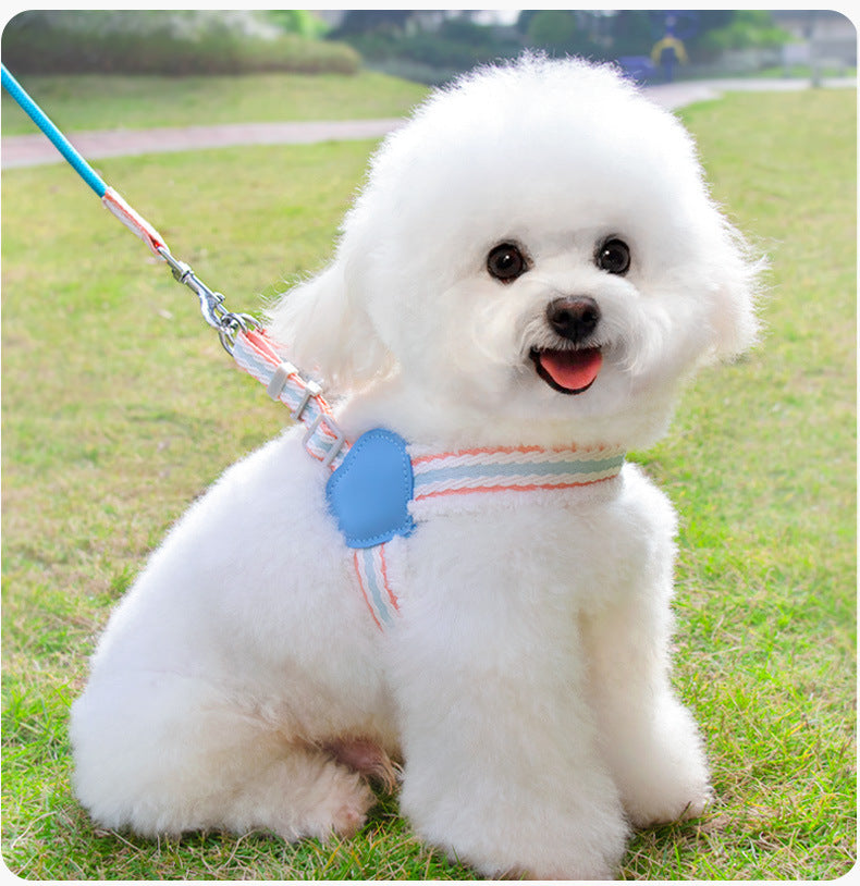 Summer Breathable Corgi Pet Leash