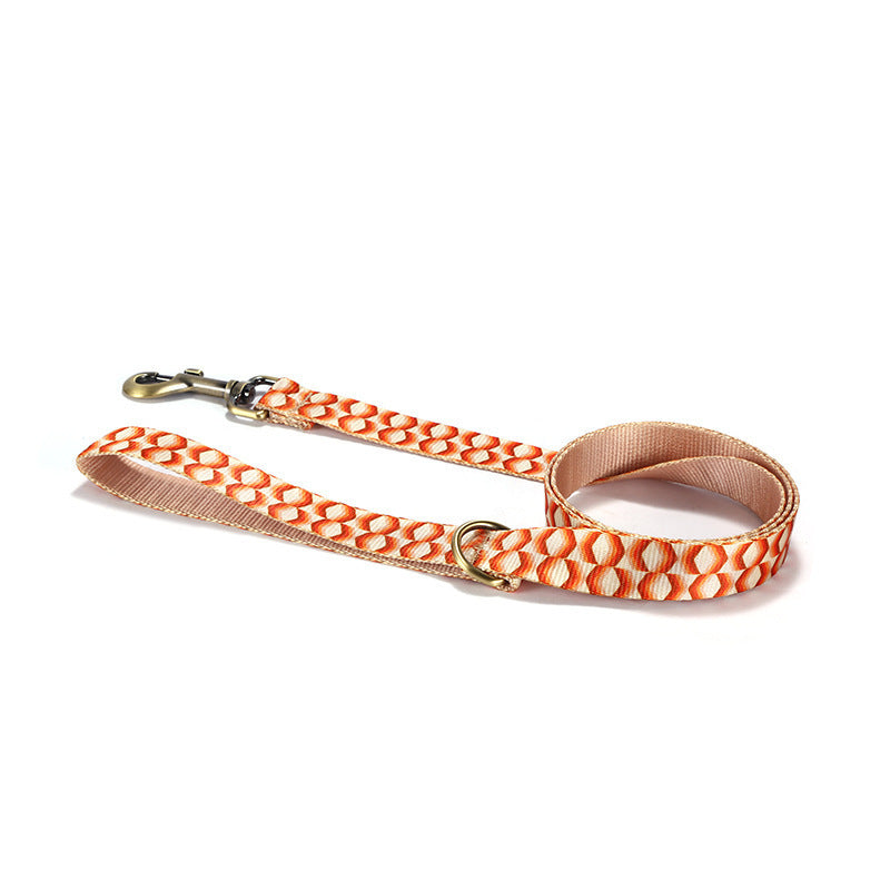 Pet Haulage Rope Wear-resistant Printing Leash