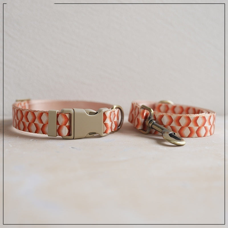 Pet Haulage Rope Wear-resistant Printing Leash