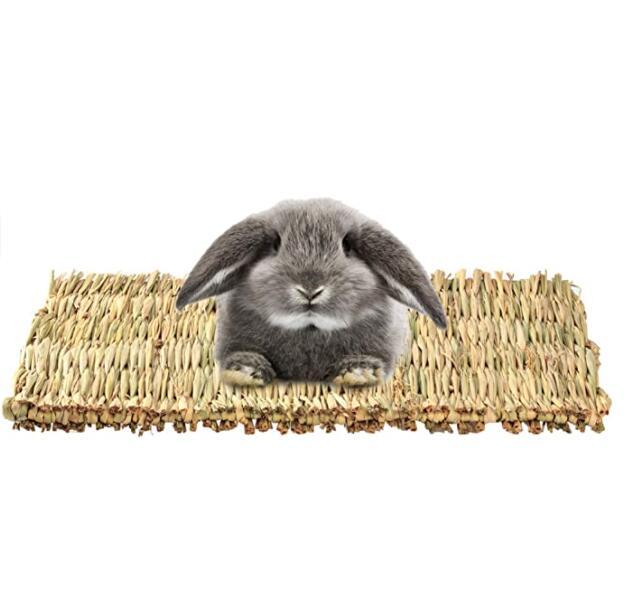3 Pack Rabbit Bunny Mat Toy