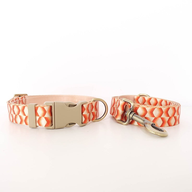 Pet Haulage Rope Wear-resistant Printing Leash