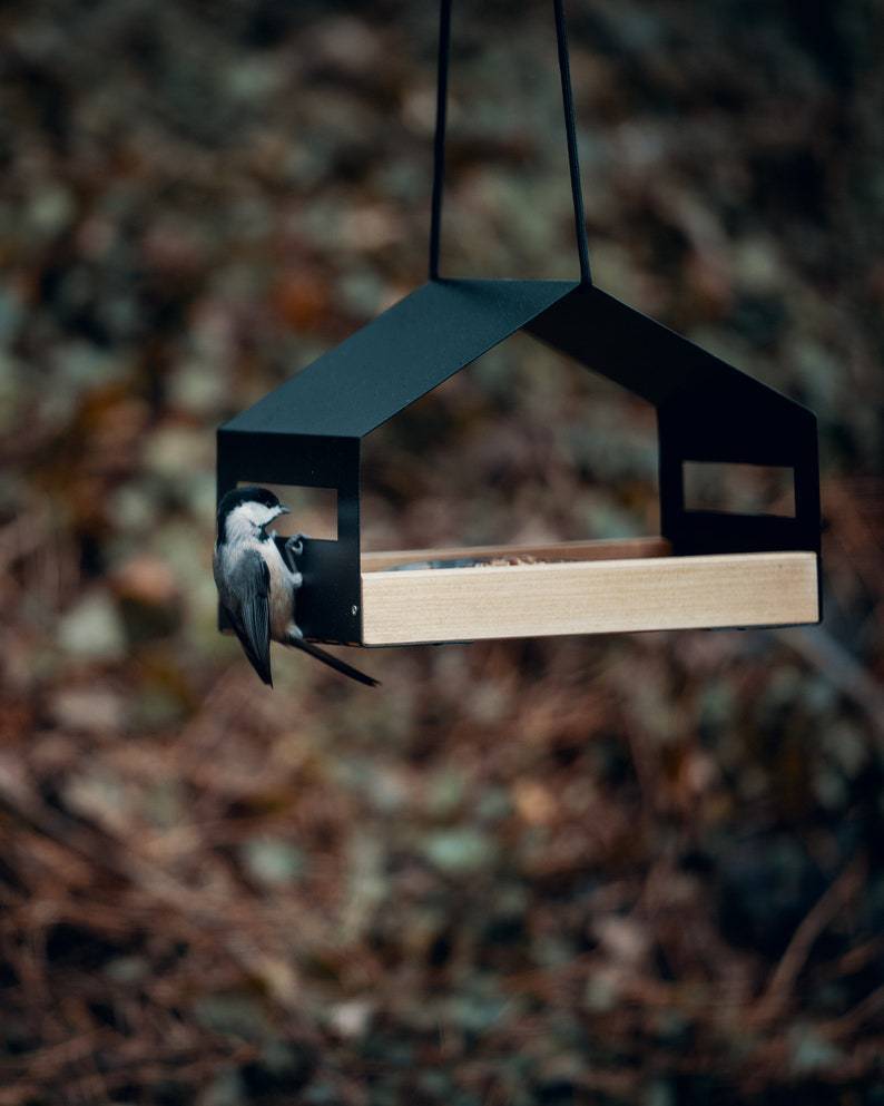 Outdoor Garden Decoration Hanging Bird Feeder