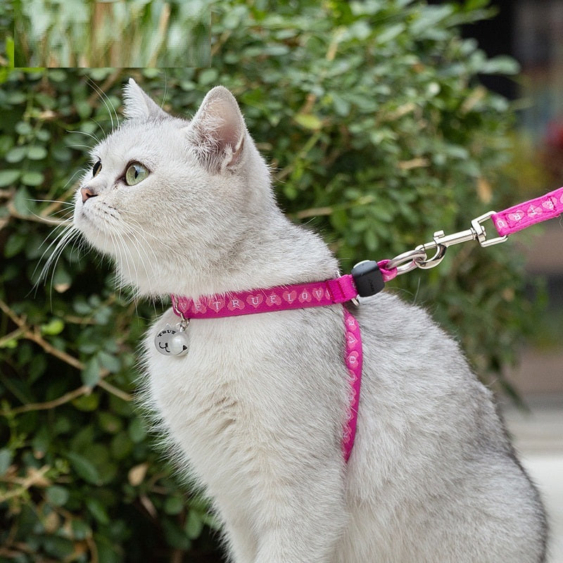 Pet Vest Small Dog Teddy Leash